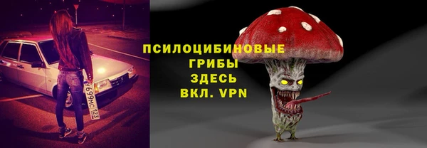 круглые Алзамай