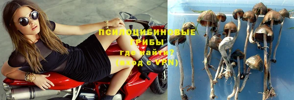 круглые Алзамай