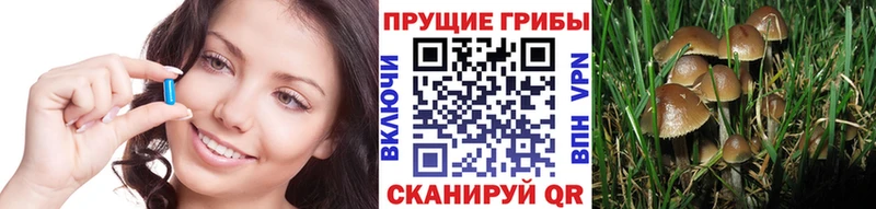 Псилоцибиновые грибы Magic Shrooms  Купить где  Алапаевск 